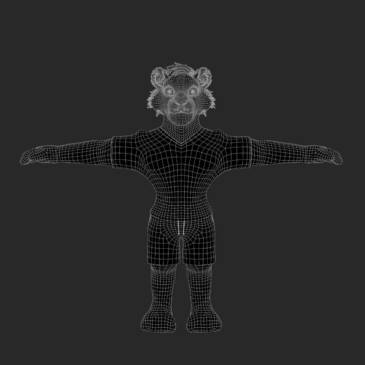 Wireframe personaje 3D